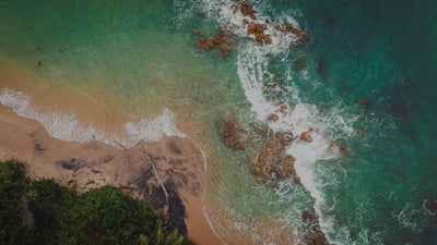 Reclaim Productivity in 5 Easy Steps after a Vacation