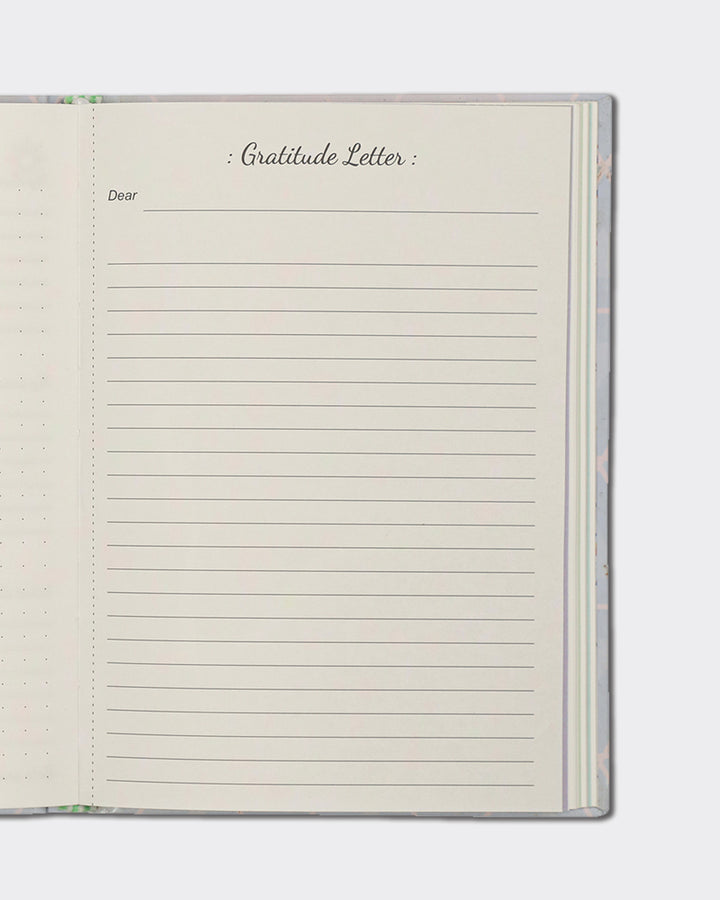 Color_Ameliorative Aqua