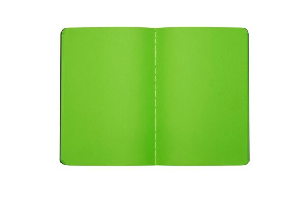 color pop notebook for gifting